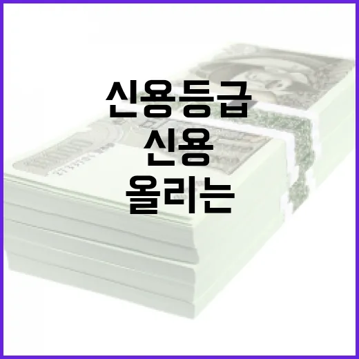 신용등급 올리는 7가지 기준, 대출금리 0.5%p 바꾸는 현실 관리법 - 요약