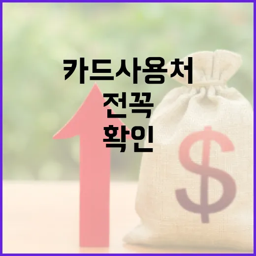복지카드 사용처 확인 전 꼭 봐야 할 5가지 기준 - 요약