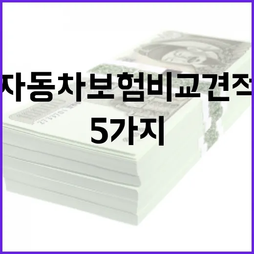 자동차보험비교견적 전에 꼭 확인할 5가지 숫자 - 요약