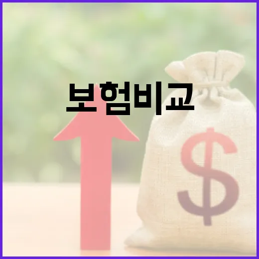 보험비교 전에 꼭 확인할 5가지 숫자 기준 - 요약