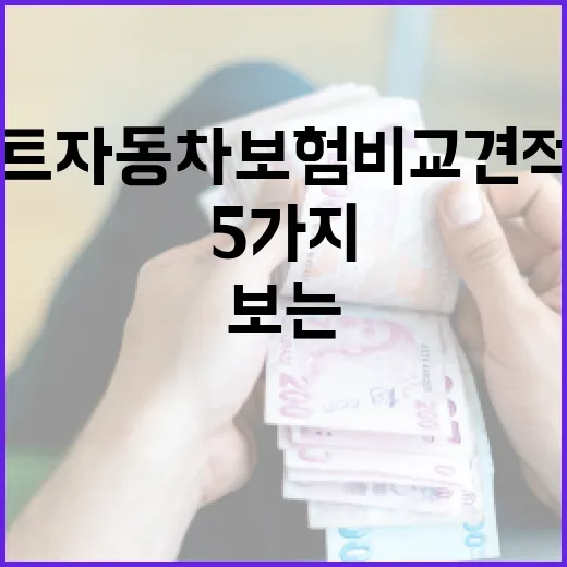 다이렉트자동차보험비교견적사이트 고를 때 보는 5가지 숫자 - 요약