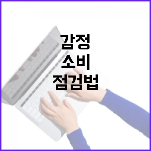 감정카드로 새는 돈 잡는 5단계 소비 점검법 - 요약
