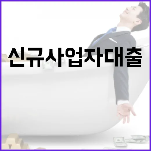 신규사업자대출 받기 전 꼭 따질 5가지 기준 - 요약