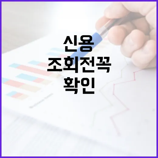 신용조회 전 꼭 확인할 5가지 숫자 - 요약