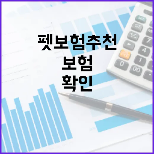 펫보험추천 전 확인할 5가지 숫자 기준 - 요약