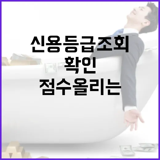 신용등급조회 전 확인할 5가지 숫자와 점수 올리는 순서 - 요약