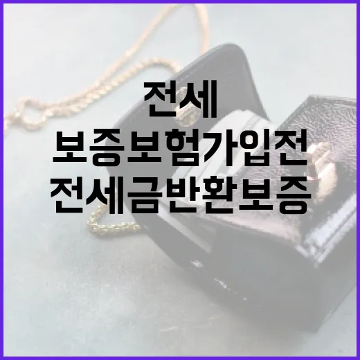 전세금반환보증보험 가입 전 꼭 보는 5가지 숫자 - 요약