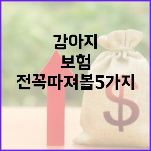 강아지보험비교 전 꼭 따져볼 5가지 숫자 - 요약