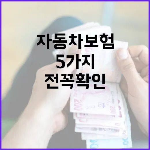 자동차보험계산 전 꼭 확인할 5가지 숫자 - 요약