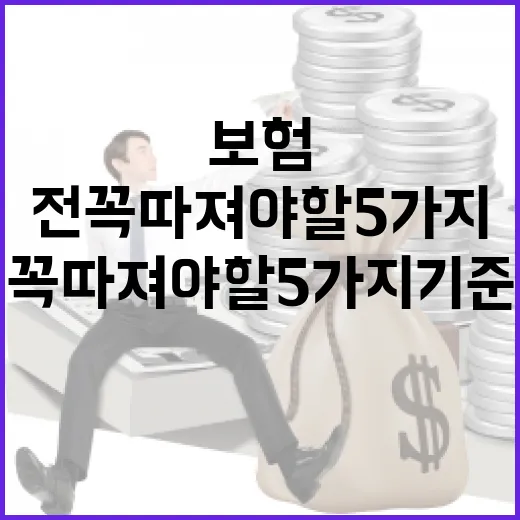 자차보험 넣기 전 꼭 따져야 할 5가지 기준 - 요약