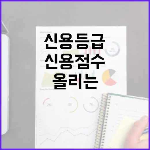 신용등급보다 중요한 신용점수 올리는 5가지 기준 - 요약