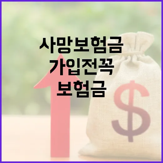 사망보험금 가입 전 꼭 따질 5가지 숫자 - 요약