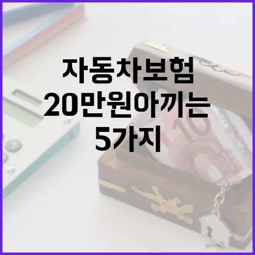 자동차보험비교견적에서 보험료 20만원 아끼는 5가지 기준 - 요약
