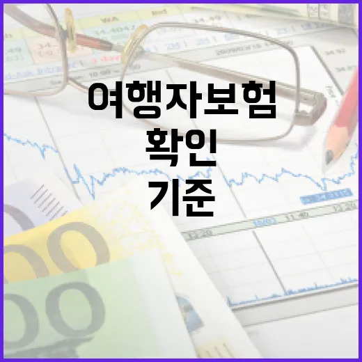 제주도여행자보험 고를 때 확인할 5가지 숫자 기준 - 요약