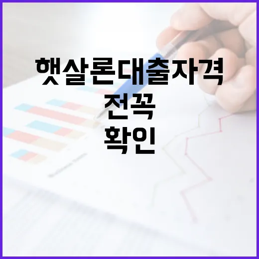 햇살론대출자격 확인 전 꼭 보는 5가지 숫자 - 요약
