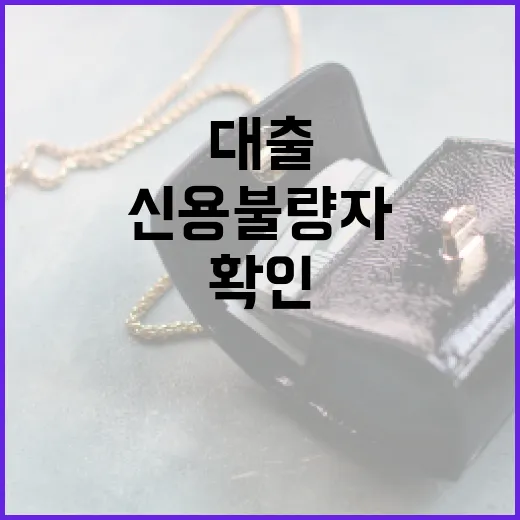신용불량자대출 찾기 전 반드시 확인할 5가지 현실 기준 - 요약
