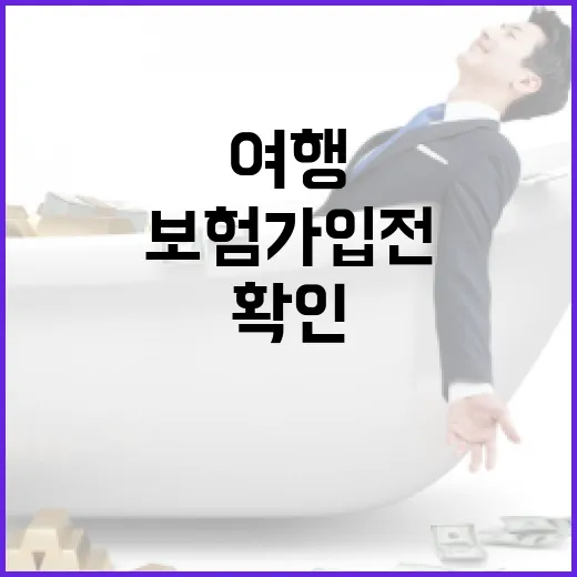 국내여행보험 가입 전 확인할 5가지 숫자 기준 - 요약