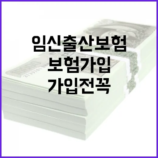 임신출산보험 가입 전 꼭 따질 5가지 기준 - 요약