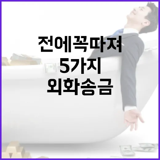 외화송금 전에 꼭 따져볼 5가지 비용과 한도 - 요약