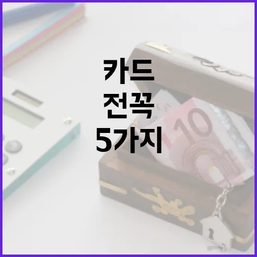 국민기업카드 고르기 전 꼭 따질 5가지 숫자 - 요약