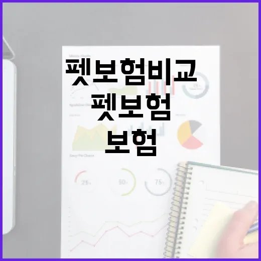 펫보험비교 전 꼭 보는 5가지 숫자: 월 보험료보다 중요한 조건 - 요약