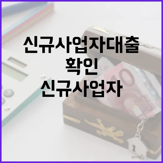 신규사업자대출 받기 전 확인할 5가지 숫자 기준 - 요약