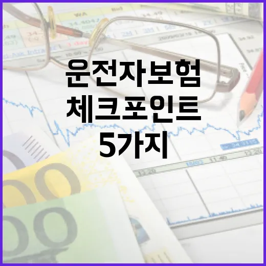 운전자보험보상, 사고 때 돈 못 받는 5가지 체크포인트 - 요약