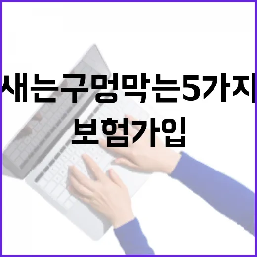 출산보험 가입 전 돈 새는 구멍 막는 5가지 기준 - 요약