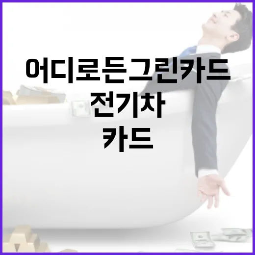 어디로든그린카드, 전기차 운전자라면 확인할 5가지 숫자 - 요약