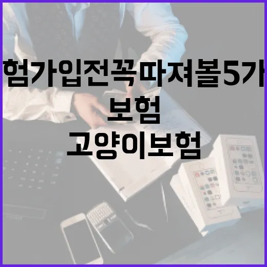 고양이보험 가입 전 꼭 따져볼 5가지 숫자 - 요약