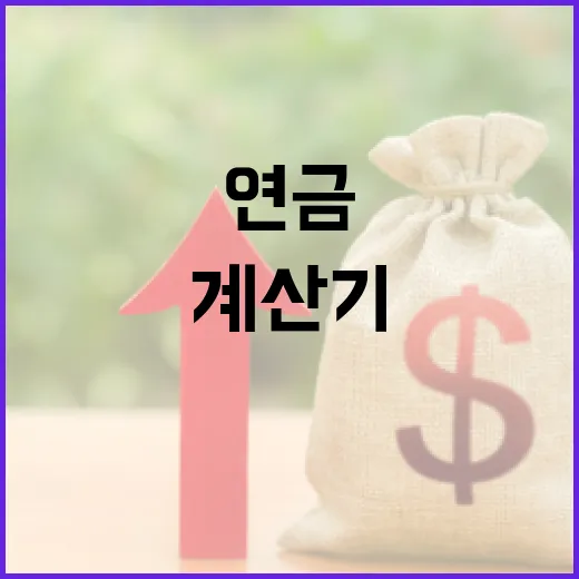 연금계산기 제대로 쓰는 5가지 기준, 월 30만원 차이 나는 지점 - 요약