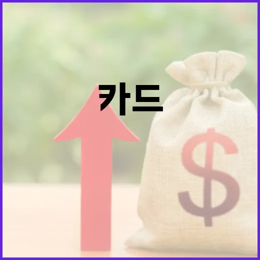 국민카드기업 카드 선택 전 확인할 5가지 숫자 기준 - 요약