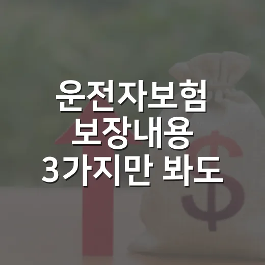 운전자보험 보장내용 3가지만 봐도 절반은 걸러집니다 - 요약