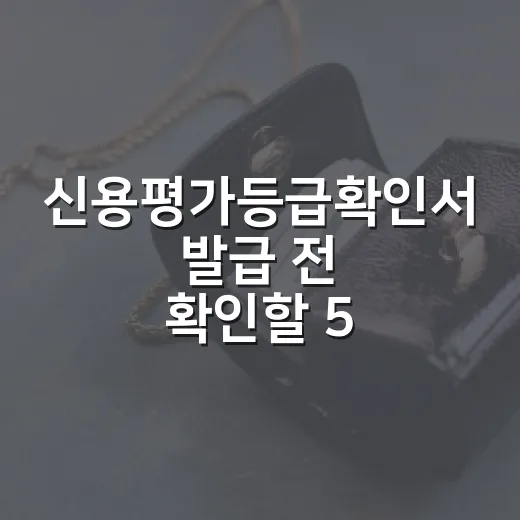 신용평가등급확인서 발급 전 확인할 5가지 기준 - 요약