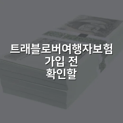 트래블로버여행자보험 가입 전 확인할 5가지 숫자 - 요약