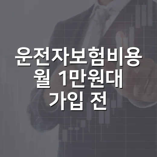 운전자보험비용 월 1만원대 가입 전 따져야 할 5가지 - 요약