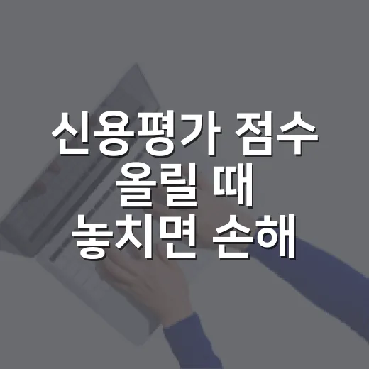 신용평가 점수 올릴 때 놓치면 손해 보는 5가지 기준 - 요약