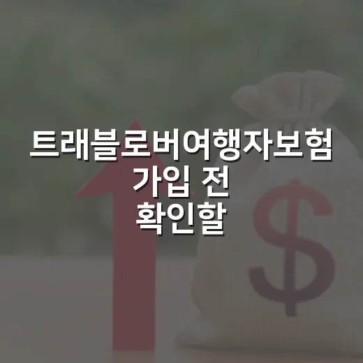 트래블로버여행자보험 가입 전 확인할 5가지 숫자 - 요약