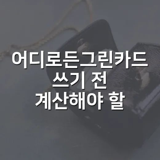 어디로든그린카드 쓰기 전 계산해야 할 5가지 숫자 - 요약