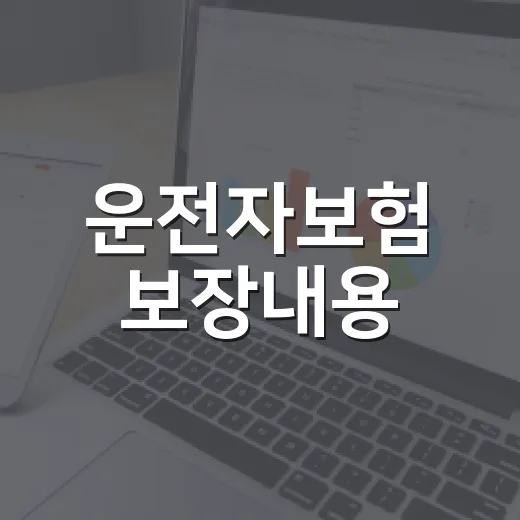 운전자보험 보장내용, 가입 전 꼭 보는 5가지 숫자 - 요약