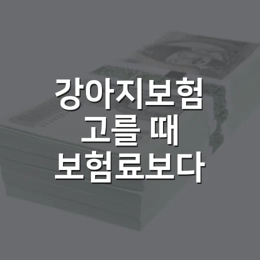 강아지보험 고를 때 보험료보다 먼저 볼 5가지 숫자 - 요약