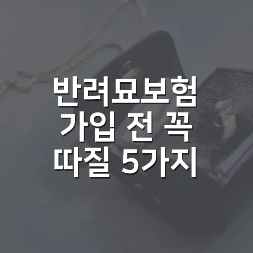 반려묘보험 가입 전 꼭 따질 5가지 숫자 - 요약