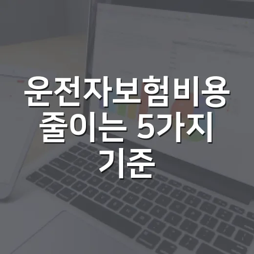 운전자보험비용 줄이는 5가지 기준, 월 1만원대 설계에서 꼭 볼 항목 - 요약