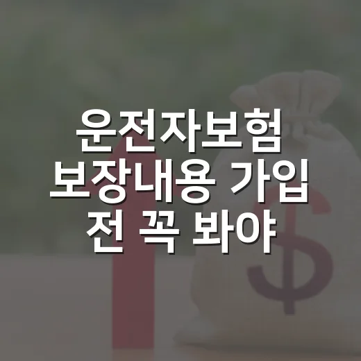 운전자보험 보장내용 가입 전 꼭 봐야 할 5가지 숫자 - 요약