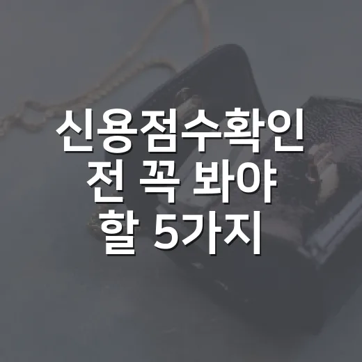 신용점수확인 전 꼭 봐야 할 5가지 숫자 기준 - 요약