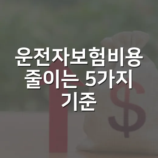 운전자보험비용 줄이는 5가지 기준, 월 1만 원대가 충분한 경우와 아닌 경우 - 요약