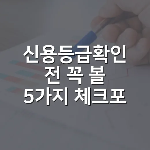 신용등급확인 전 꼭 볼 5가지 체크포인트 - 요약