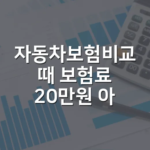 자동차보험비교 때 보험료 20만원 아끼는 5가지 기준 - 요약