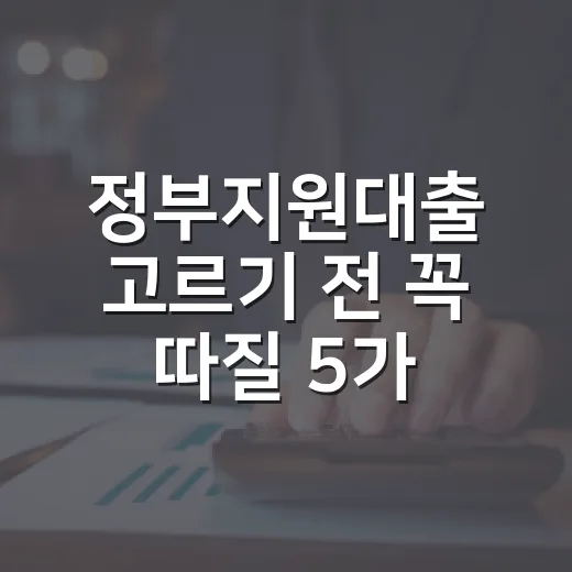 정부지원대출 고르기 전 꼭 따질 5가지 숫자 - 요약
