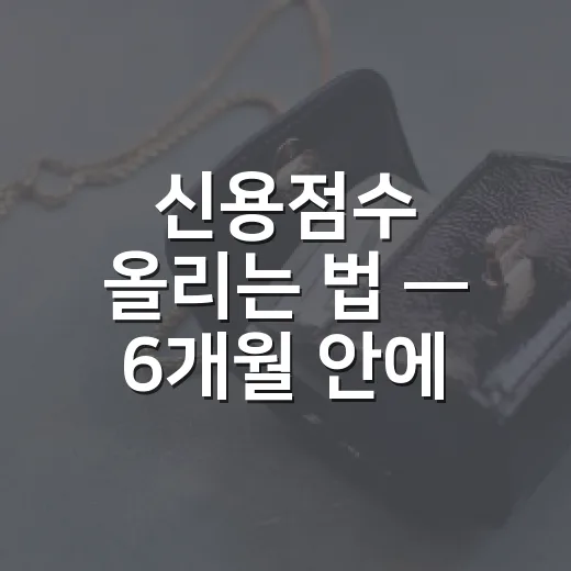 신용점수 올리는 법 — 6개월 안에 손댈 수 있는 5가지 - 요약